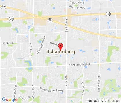 logo-image - Schaumburg-IL